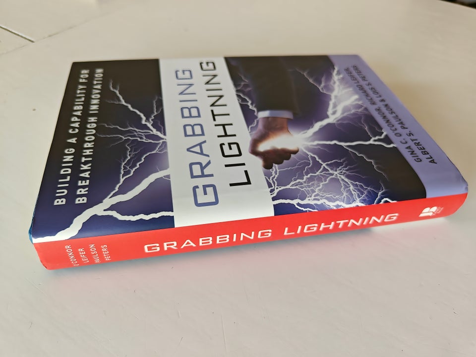 Grabbing Lightning, Gina C.