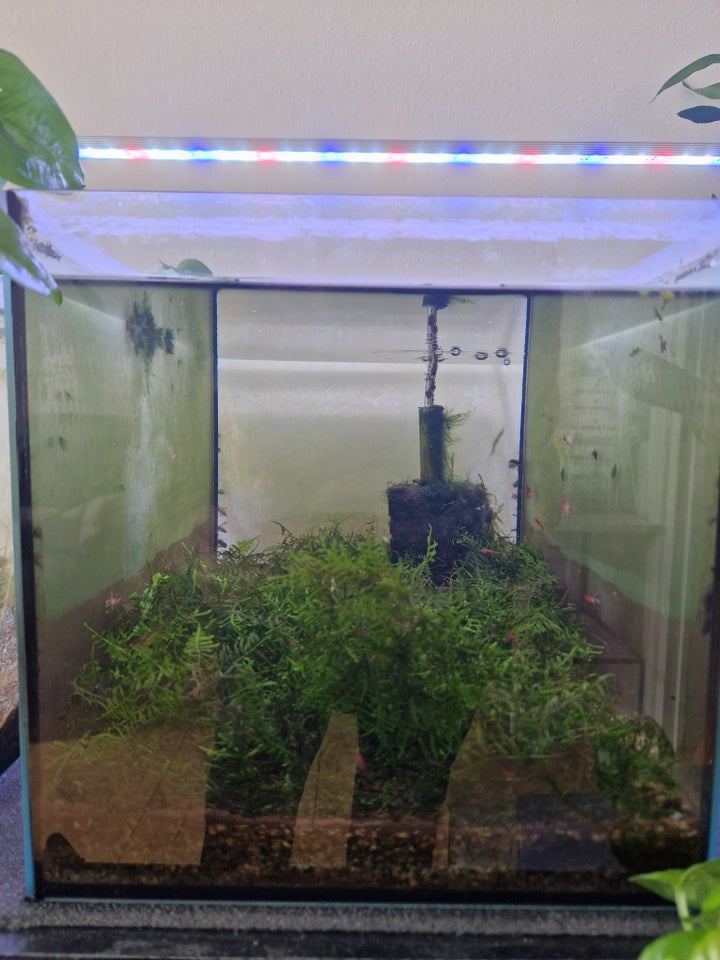 Akvarium 25 liter b: 40 d: 25 h: 25