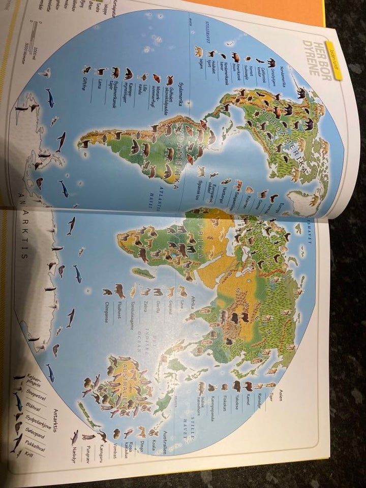 Nat geo atlas om vilde dyr, National