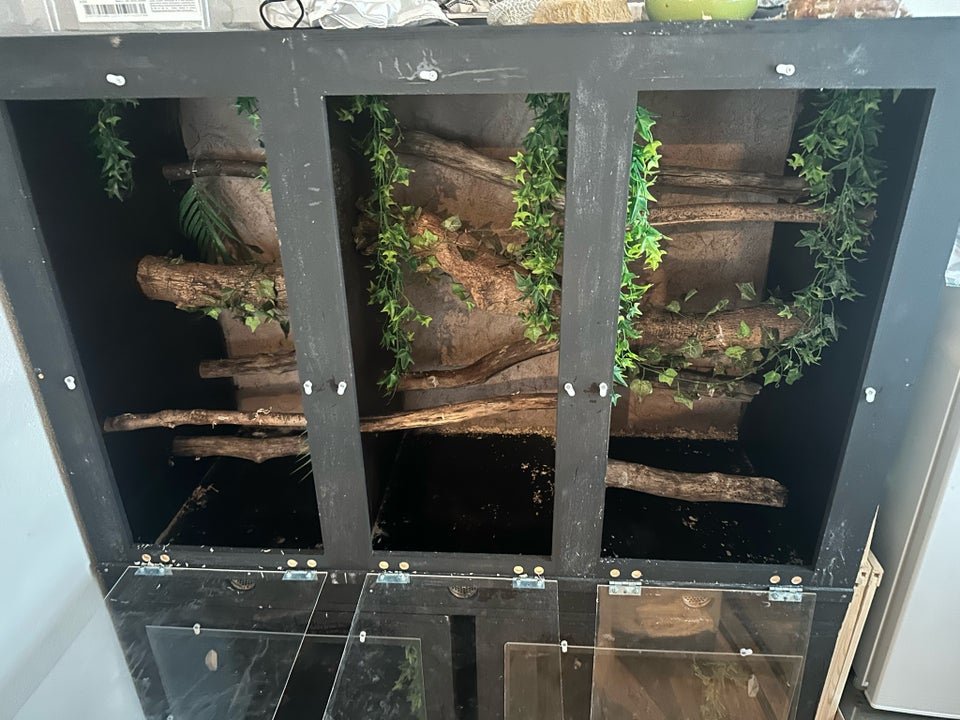 Terrarium, b: 125 d: 60 h: 90