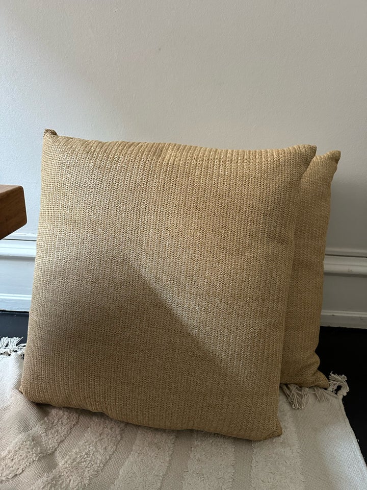 Two indoor/outdoor cushions ,