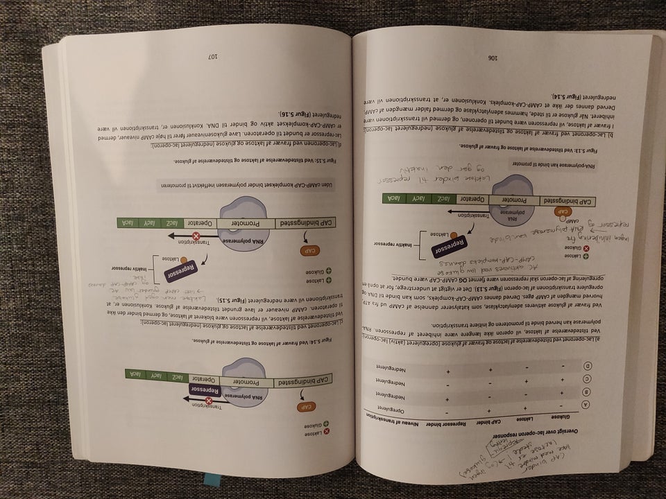 Kompendium i biokemi Kompendie