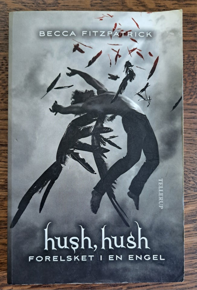 Hush Hush, Becca Fitzpatrick,