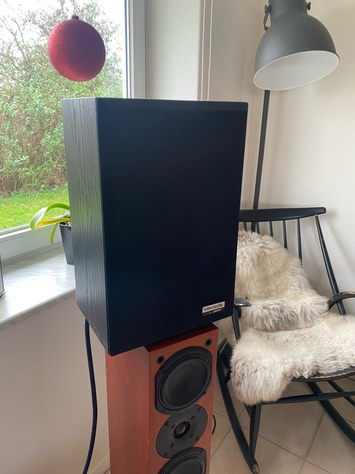 Højttaler, Bose, Interaudio