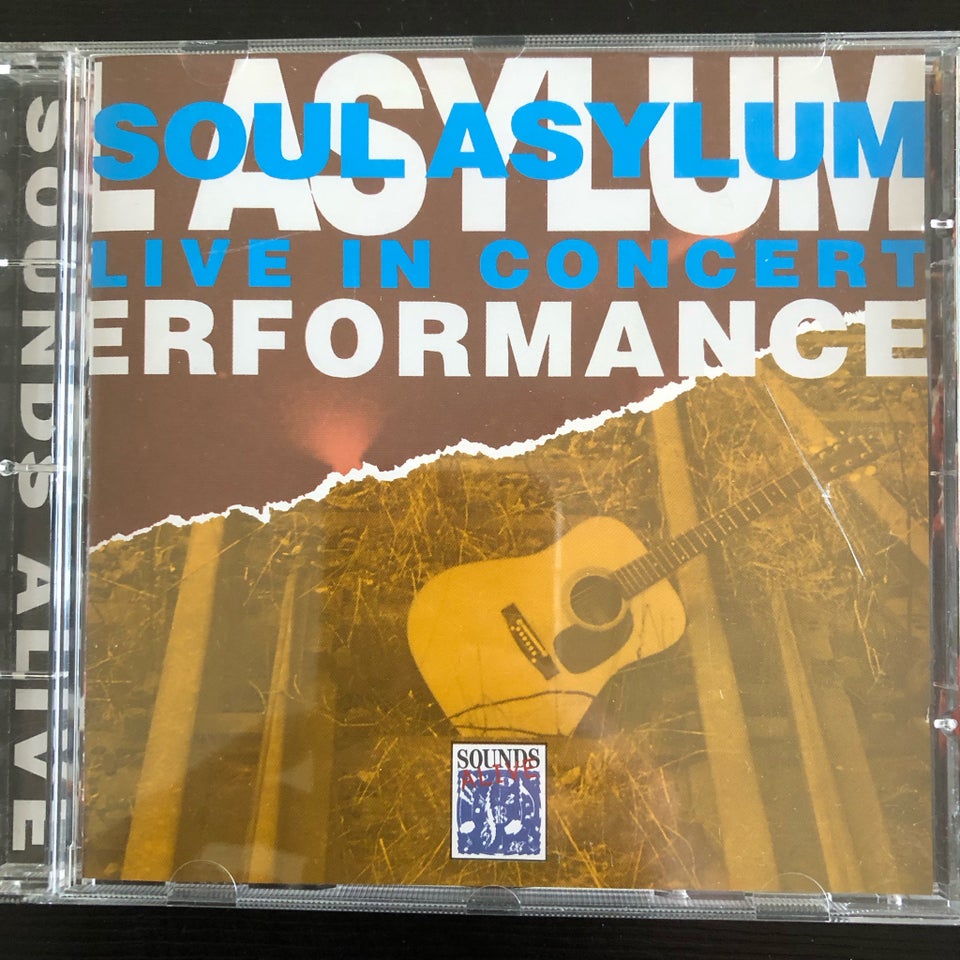 Soul Asylum: Live in concert rock