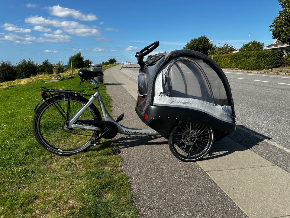 Ladcykel Winther Kangaroo Luxe 7