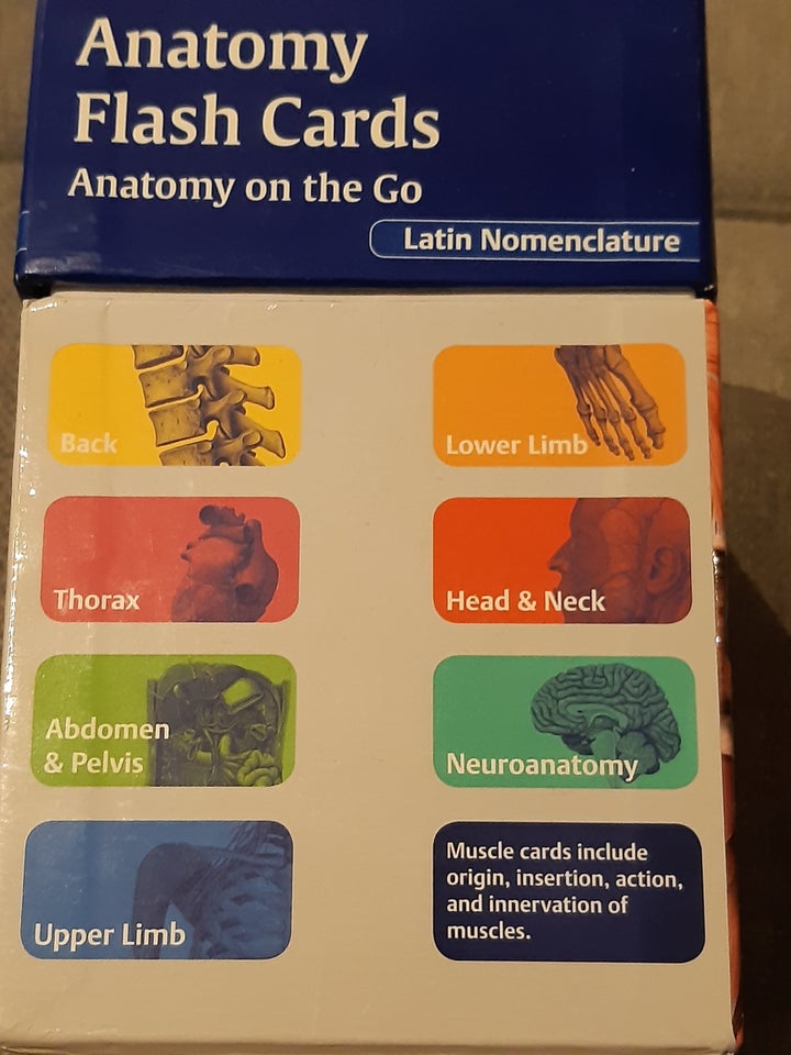 Anatomy flash cards, Thieme