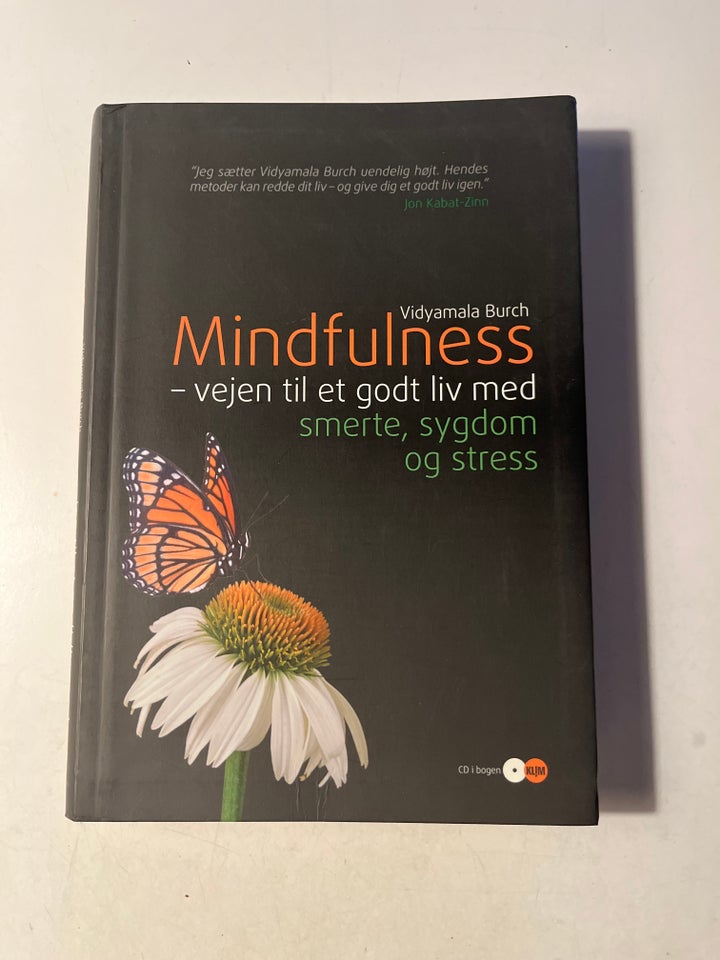 Mindfulness, Vidyamala Burch,