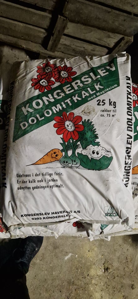 Kongerslev dolomitkalk med