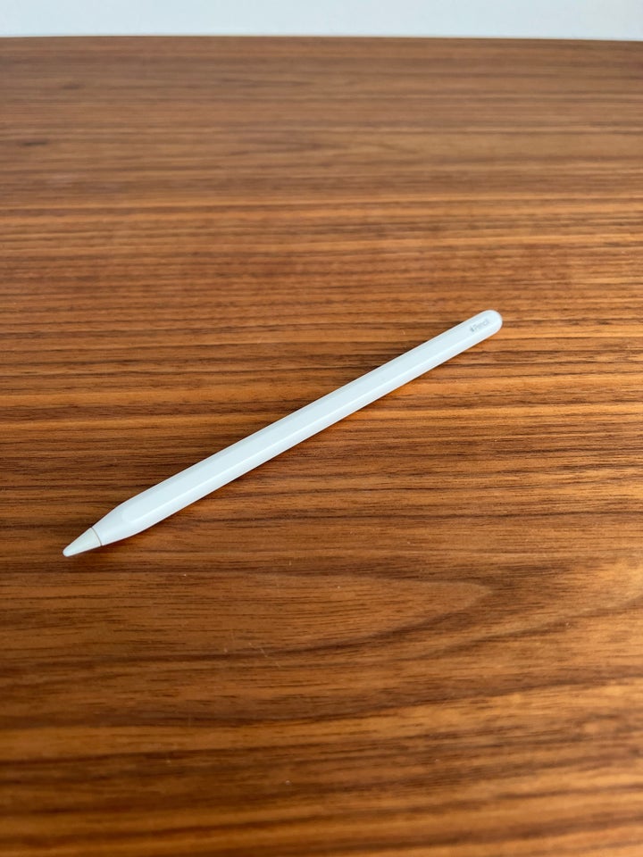 Stylus pen t iPad Perfekt