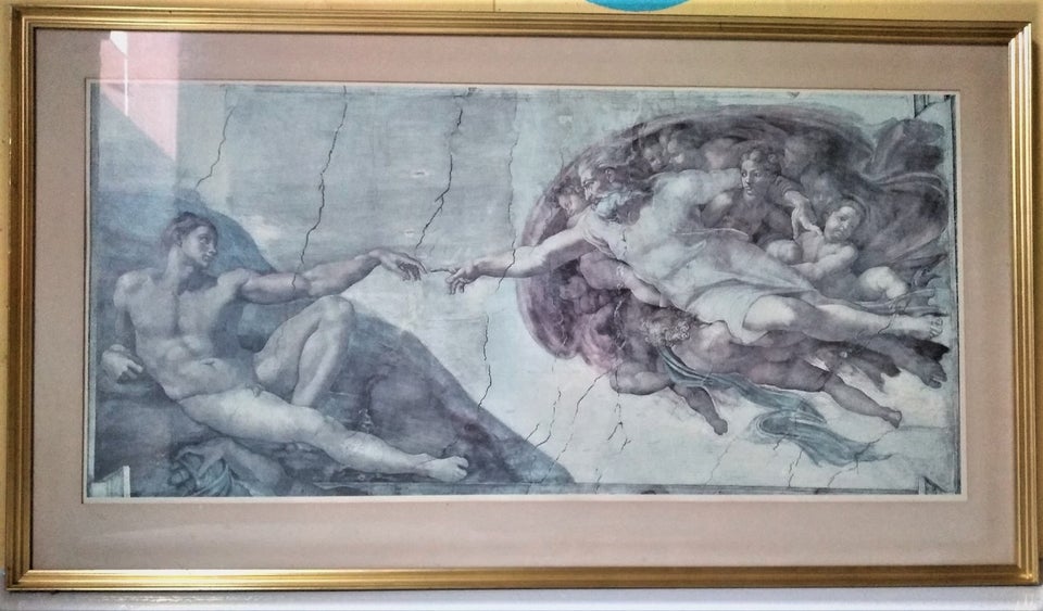 Reproduktion, Michelangelo