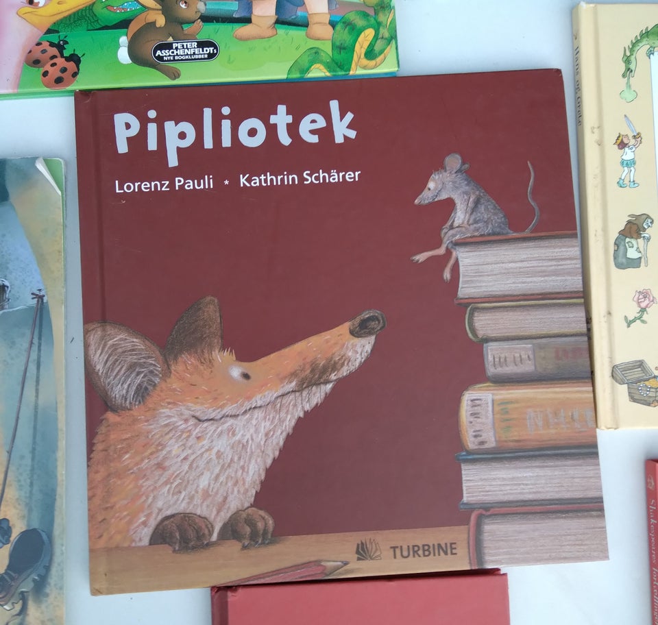 Pipliotek, Lorenz Pauli