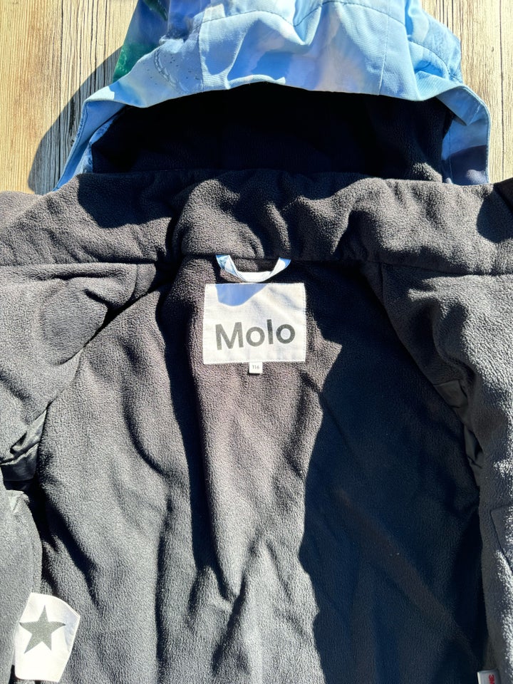 Vintersæt, ., Molo