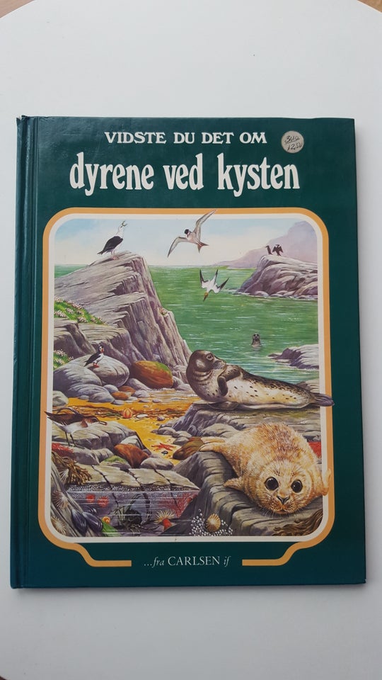 Vidste du det om dyrene ved kysten,