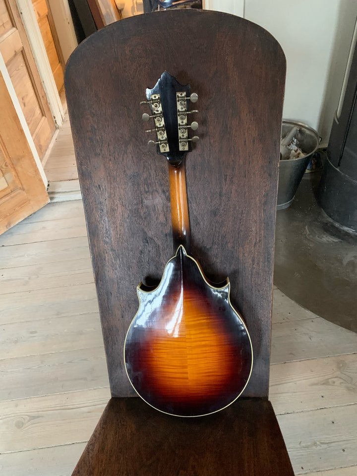 Levin Orkester Mandolin,