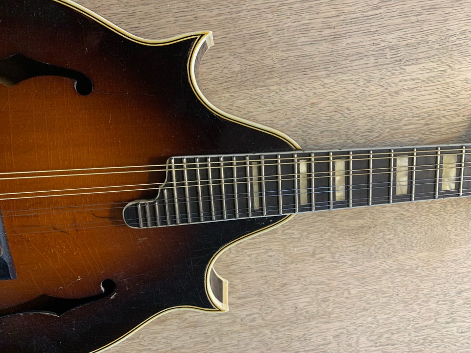 Levin Orkester Mandolin,