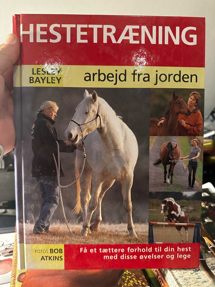 Hestetræning - Arbejd fra jorden,