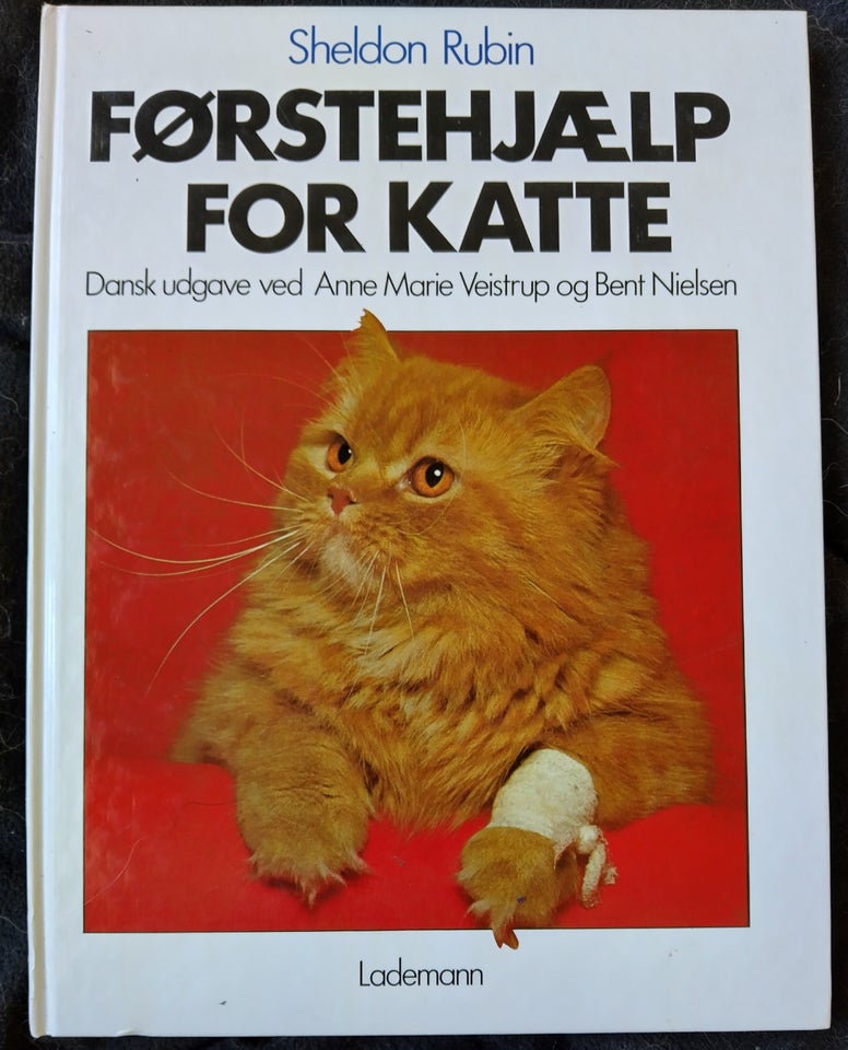 Førstehjælp For katte, emne: dyr