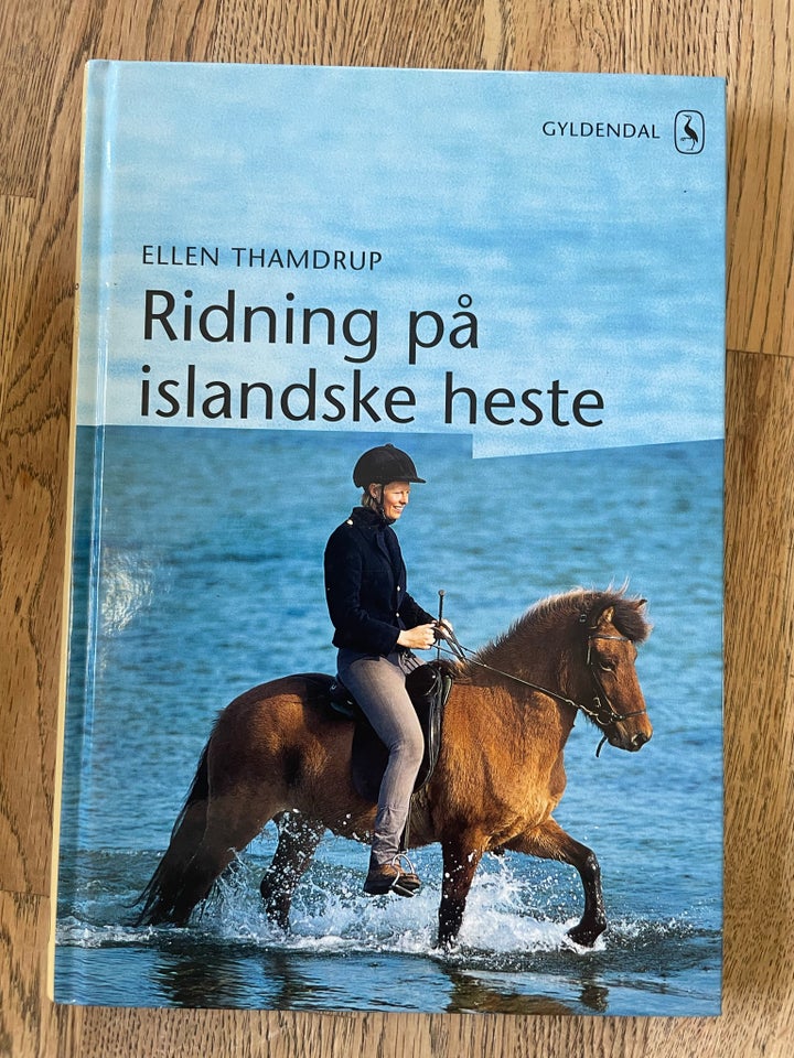 Ridning på islandske heste Ellen