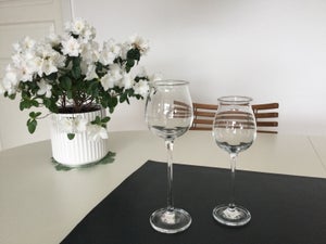 Glas Vinglas Holmegård