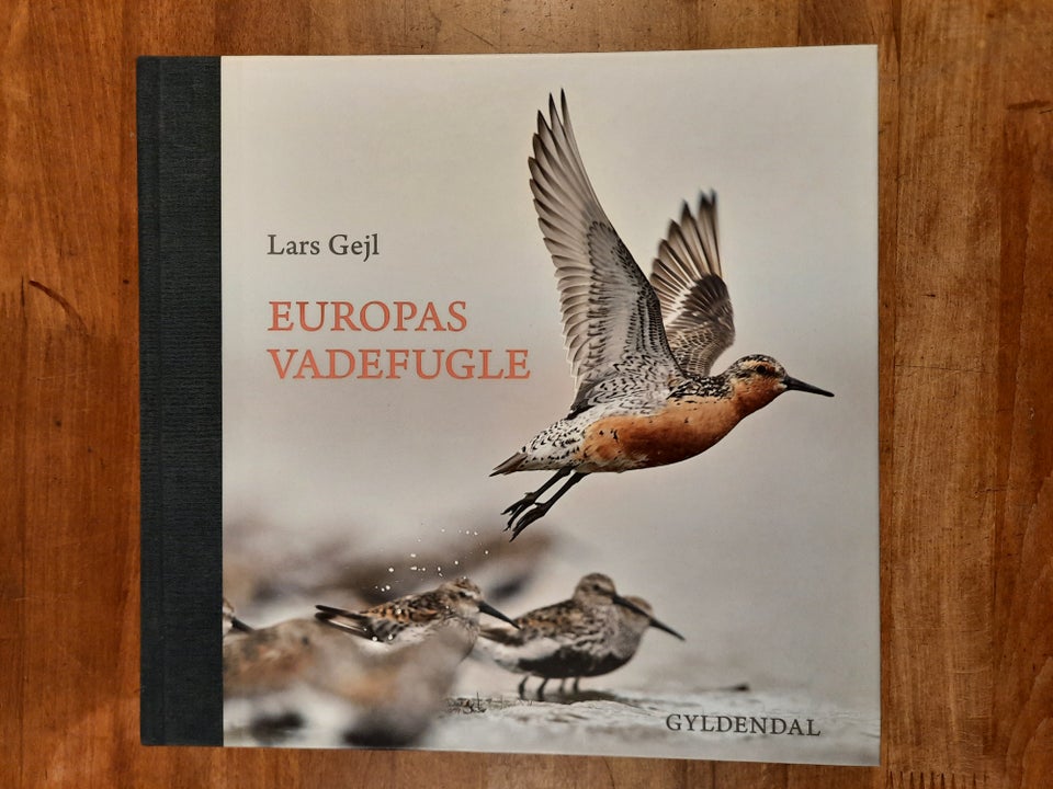 Europas vadefugle (2015), Lars