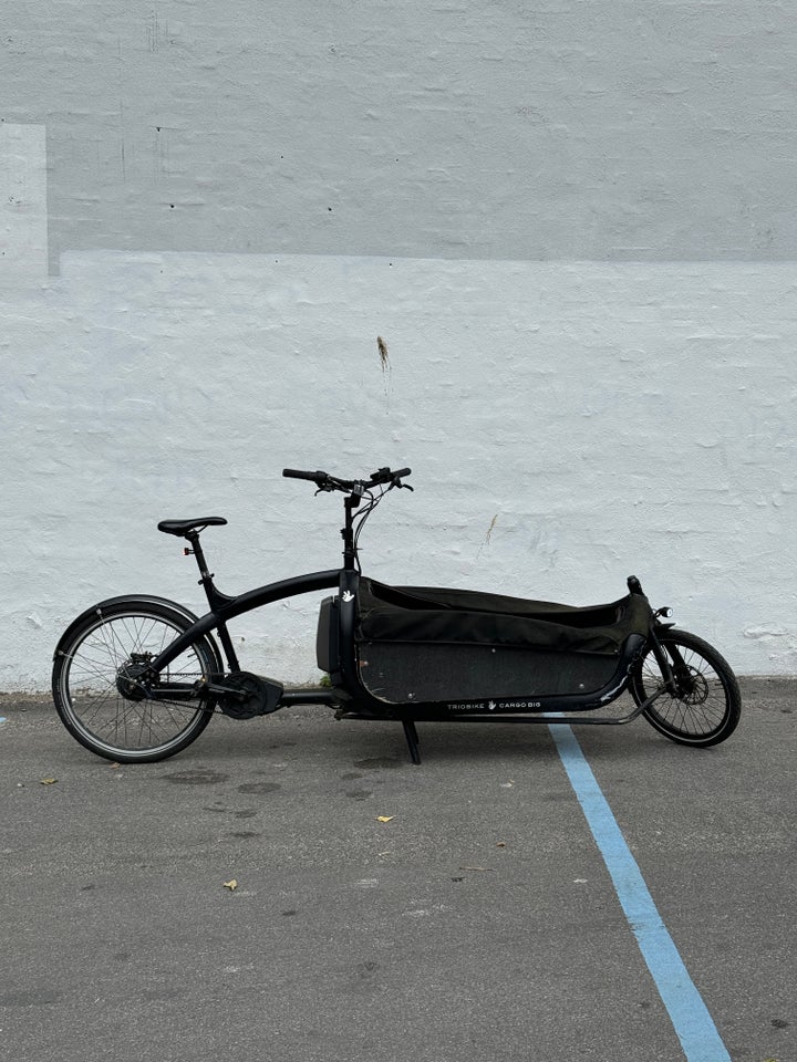 Triobike cargo big 7 gear