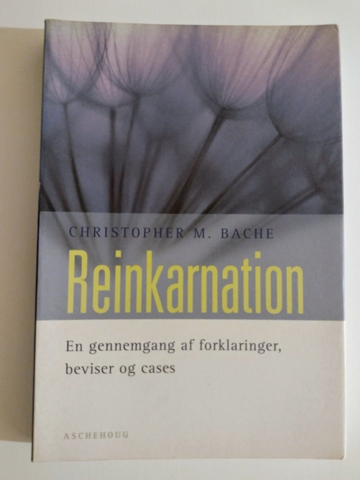 Reinkarnation. En gennemgang af