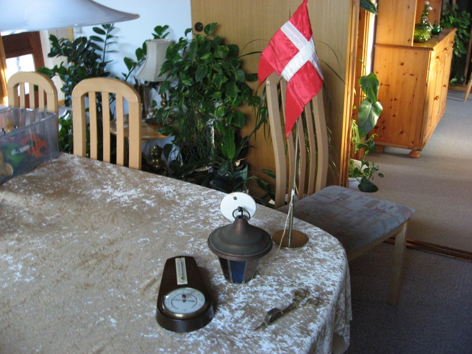 Pendel Loftlampe Flagstang