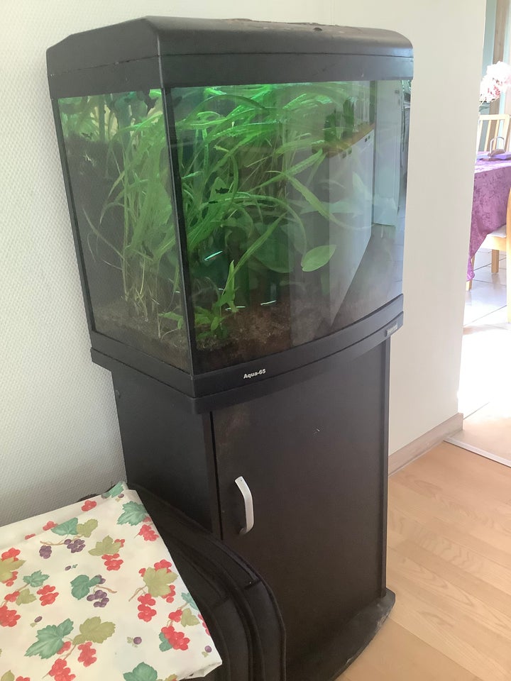 Akvarium 60 liter