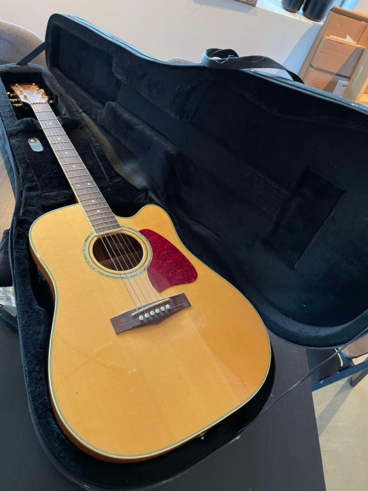 Western, Ibanez AW 1000E