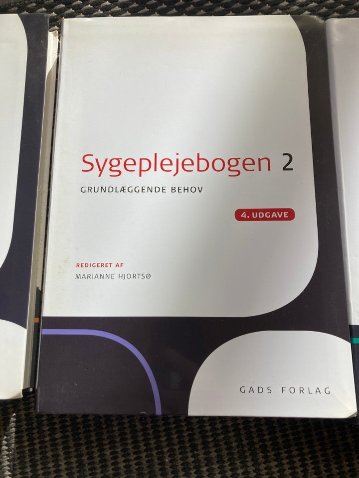 Sygeplejebogen 2 , Gads, år 2012