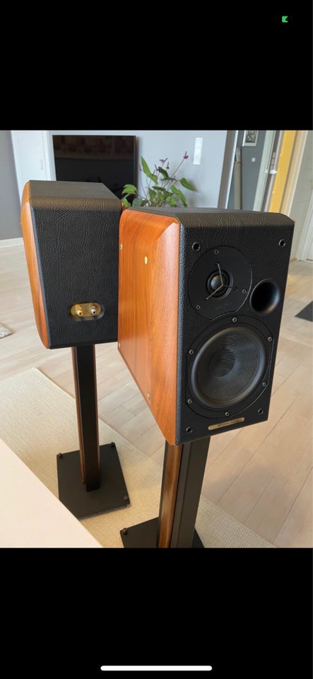 Højttaler, Sonus Faber, Concerto