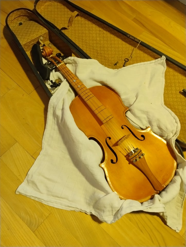 Violin