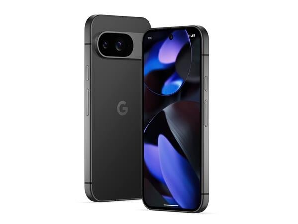 Google Pixel 9, 256 GB , Perfekt