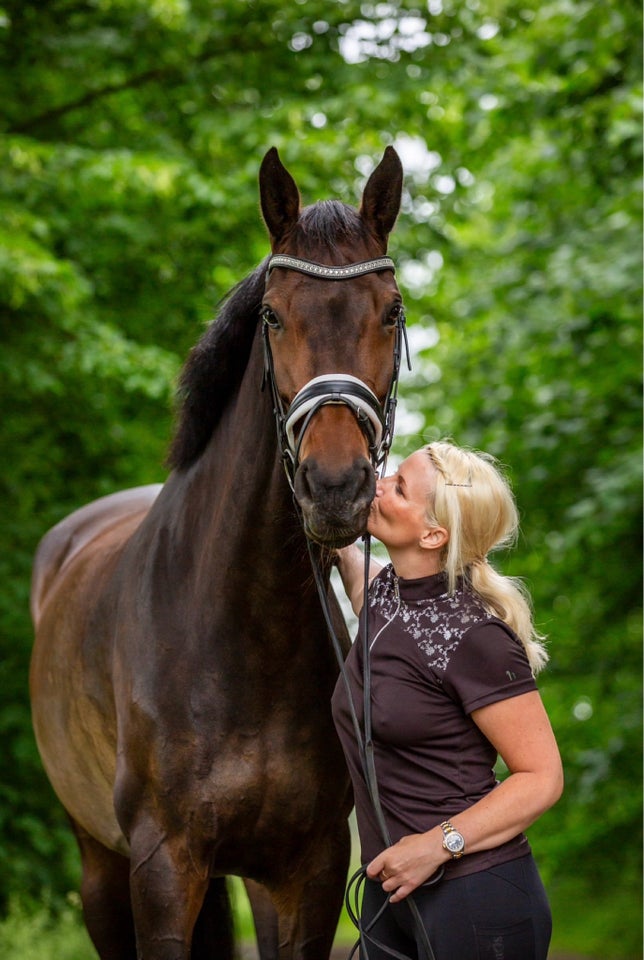 Dansk Varmblod, hoppe, 9 år