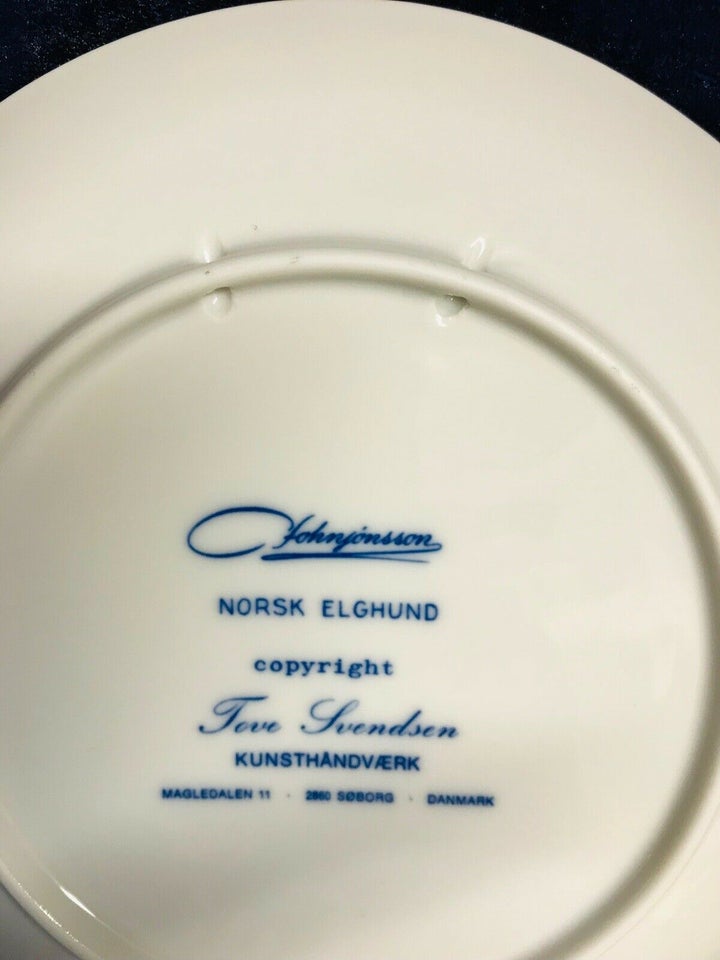 NORSK ELGHUND PÅ PLATTE