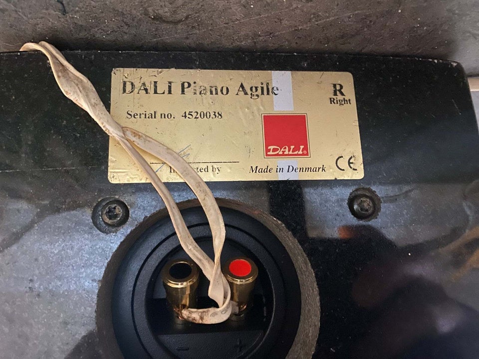 Højttaler Dali Piano