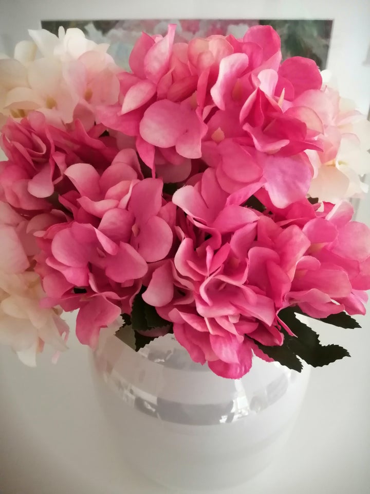 Hortensia - Evigheds blomster 