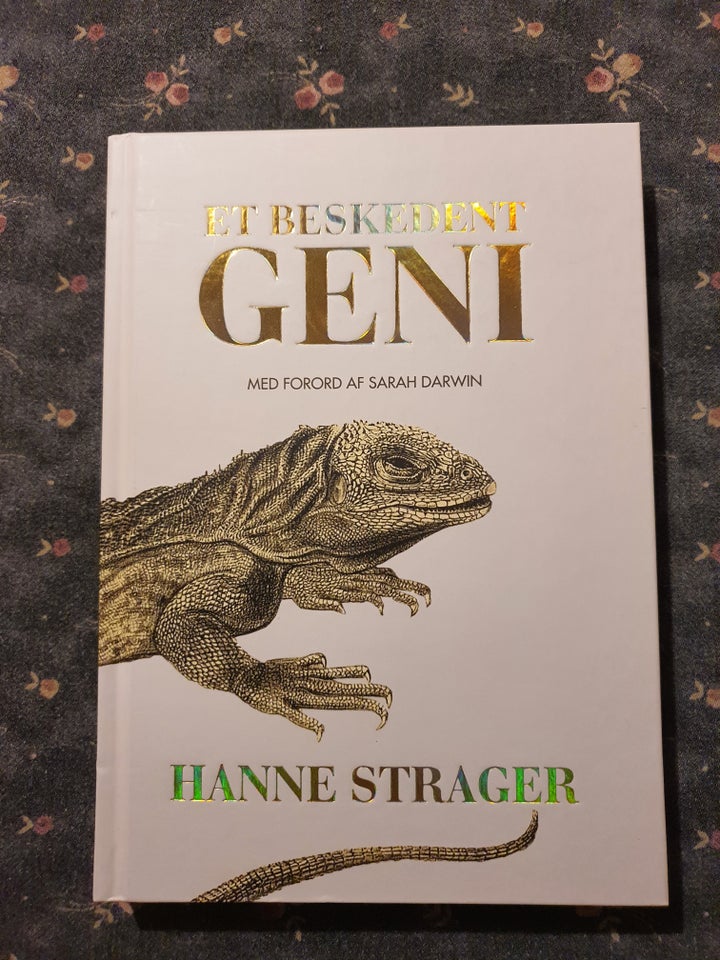 Et beskedent geni, Hanne Strager,