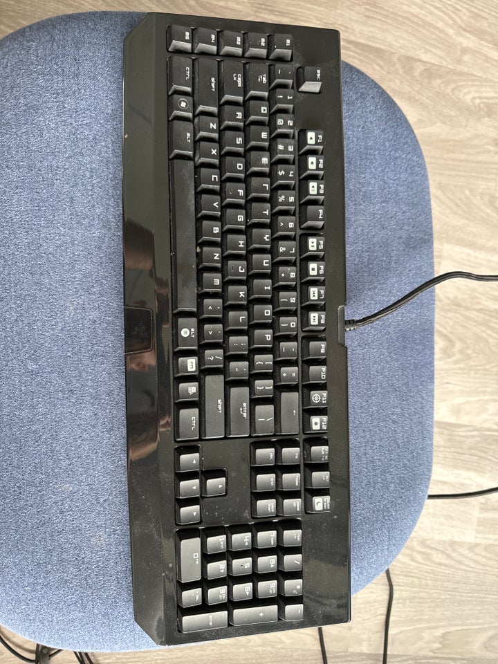 Tastatur, Razer, Blackwidow