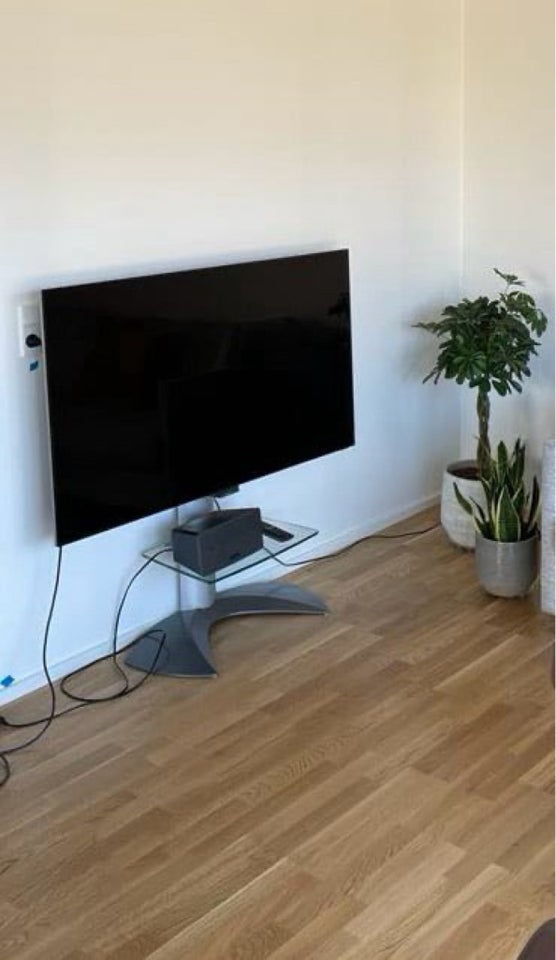 Philips, 55"