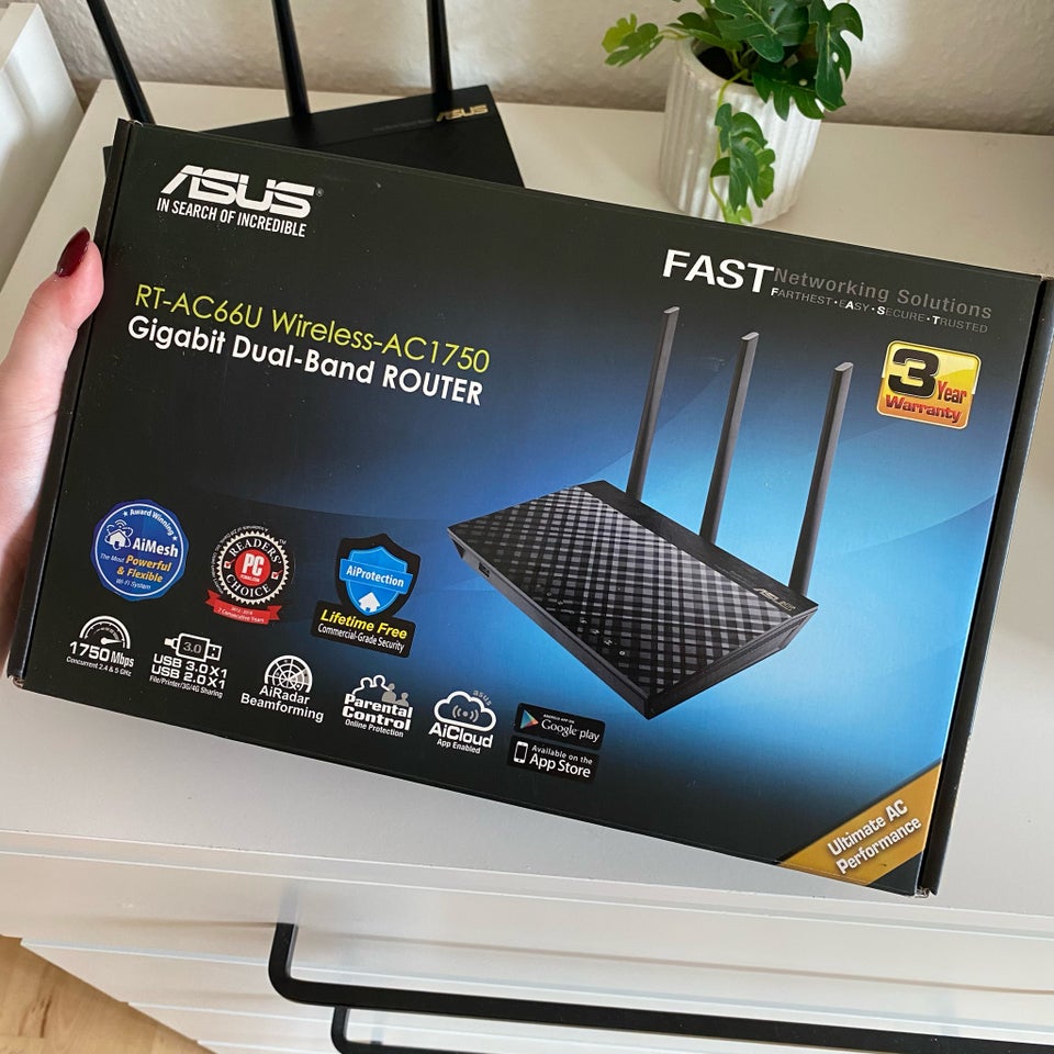 Router, Asus, Perfekt