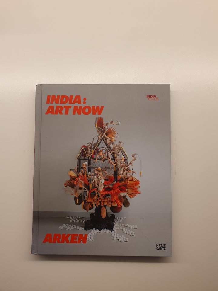 India, art now  Ung dansk kunst