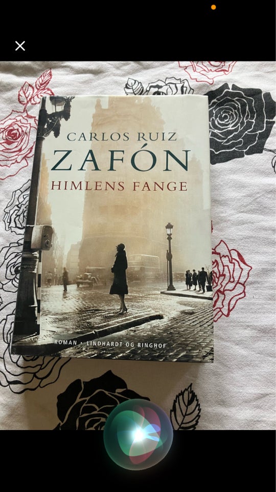 Himlens fange, Carlos Ruiz Zafon,