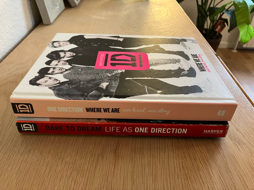 2 x ONE DIRECTION BØGER emne: musik