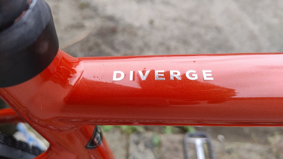 Herreracer Specialized Diverge