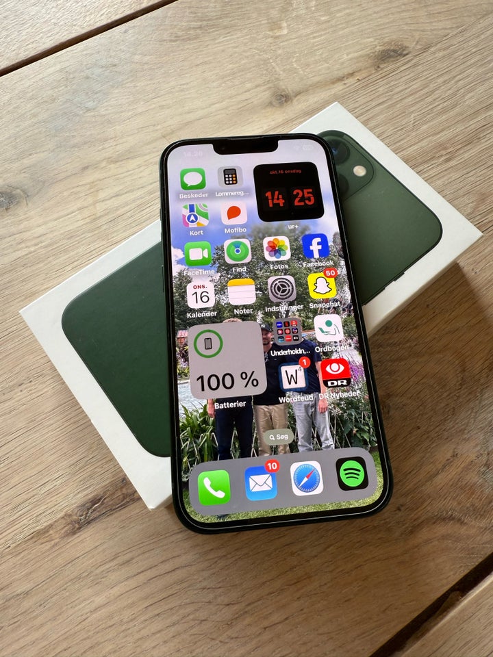 iPhone 13, 128 GB, grøn