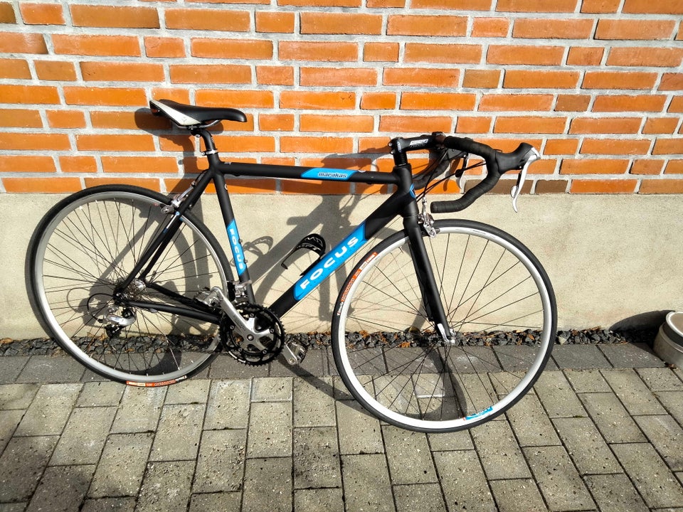 Herreracer FOCUS Marakas 53 cm