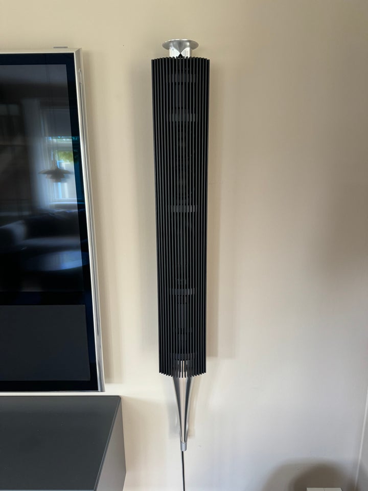 Højttaler Bang  Olufsen Beolab