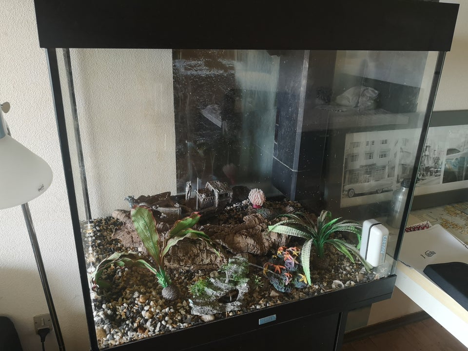 Akvarium, 200 liter